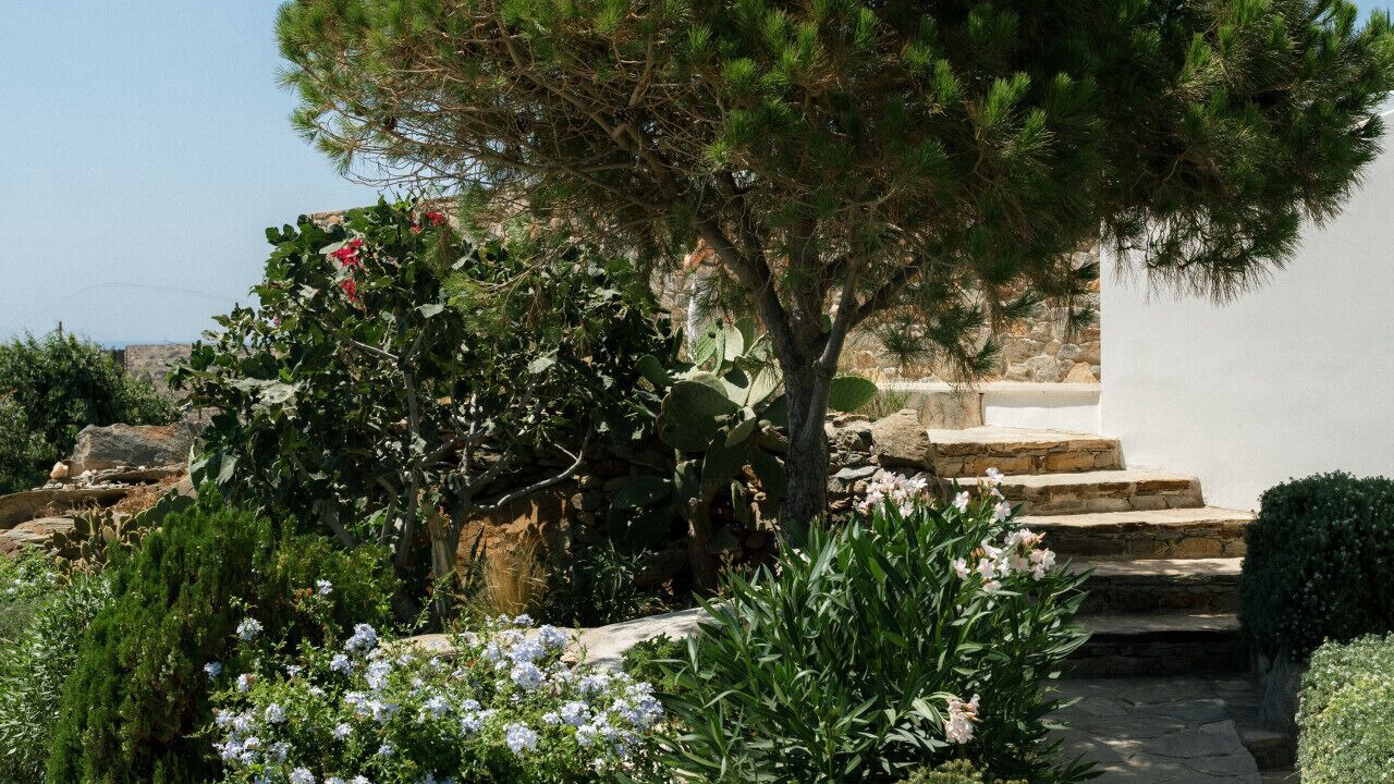 Photo of Outdoor in Ios Town