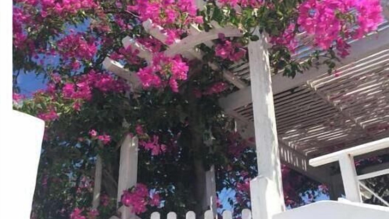 Photo of Outdoor in Lassi