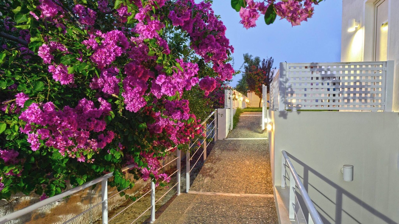 Photo of Outdoor in Platanes