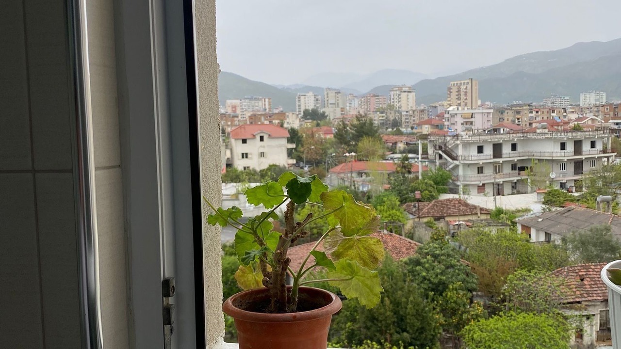 Photo of Others in Elbasan