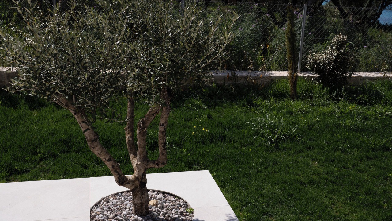 Photo of Outdoor in Tsilivi