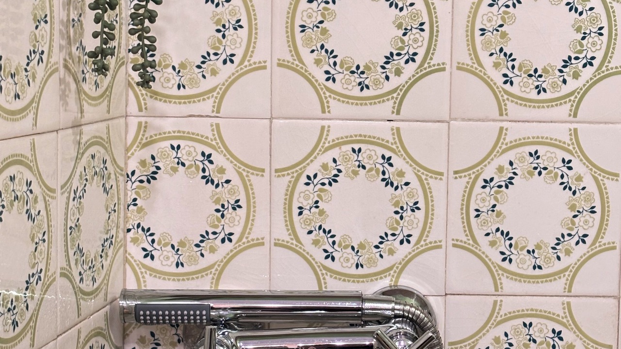 Photo of Bathroom in Edessa