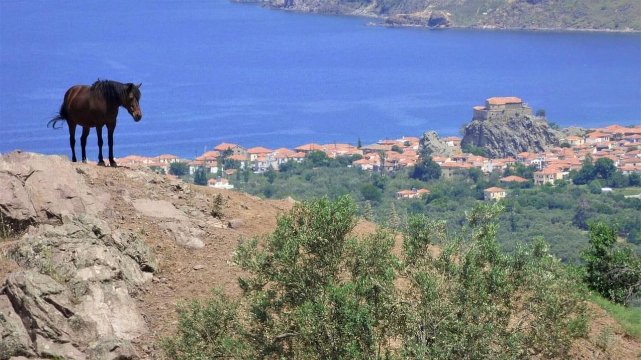 Photo of Others in Anaxos