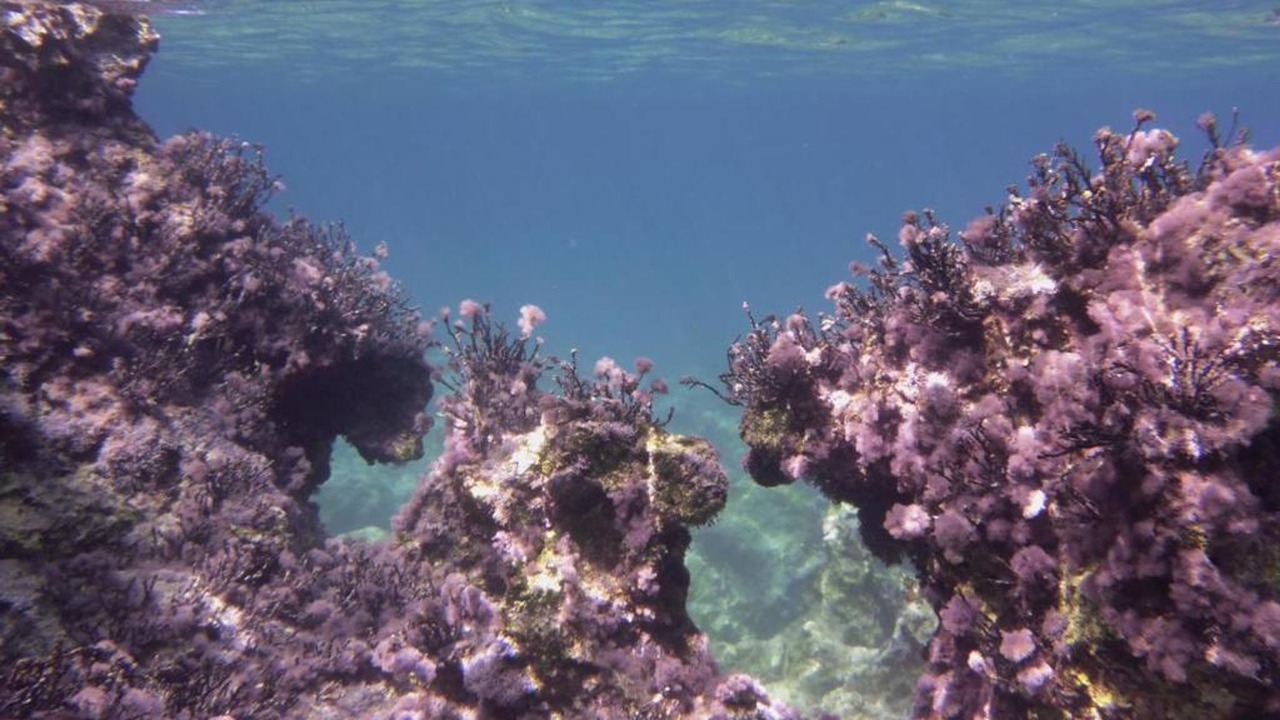 Photo of Others in Porto Rafti