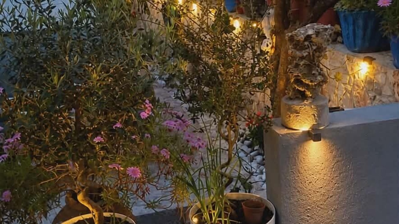Photo of Outdoor in Himare