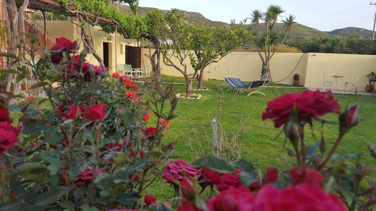Photo of Outdoor in Trachilos