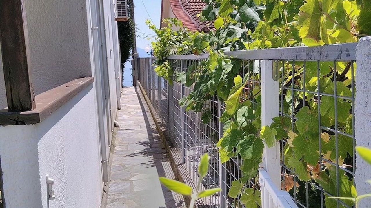 Photo of Outdoor in Kato Gatzea