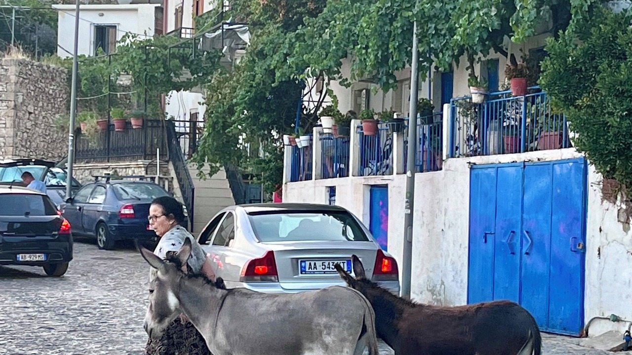 Photo of Others in Vuno