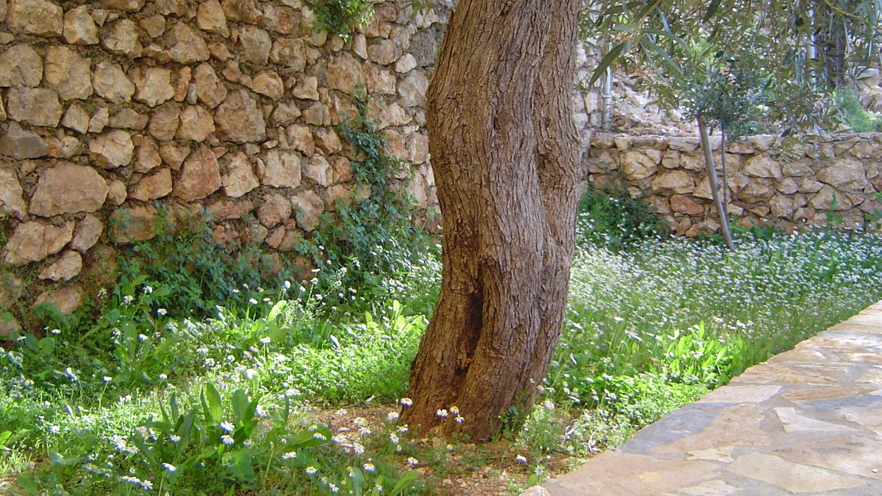 Photo of Outdoor in Vuno