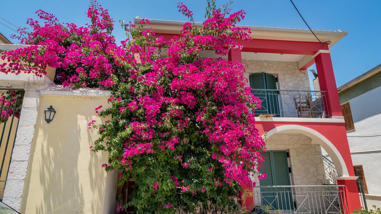 Photo of Outdoor in Meganisi