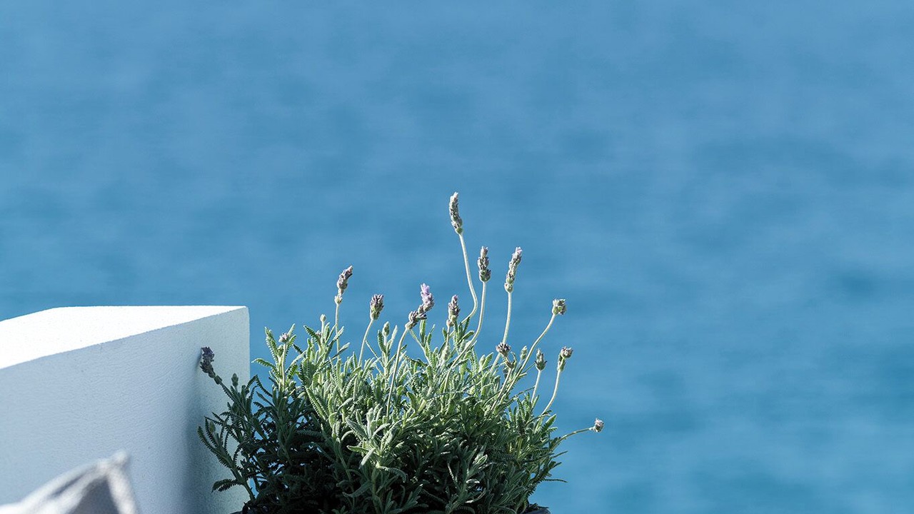 Photo of Outdoor in Ierapetra