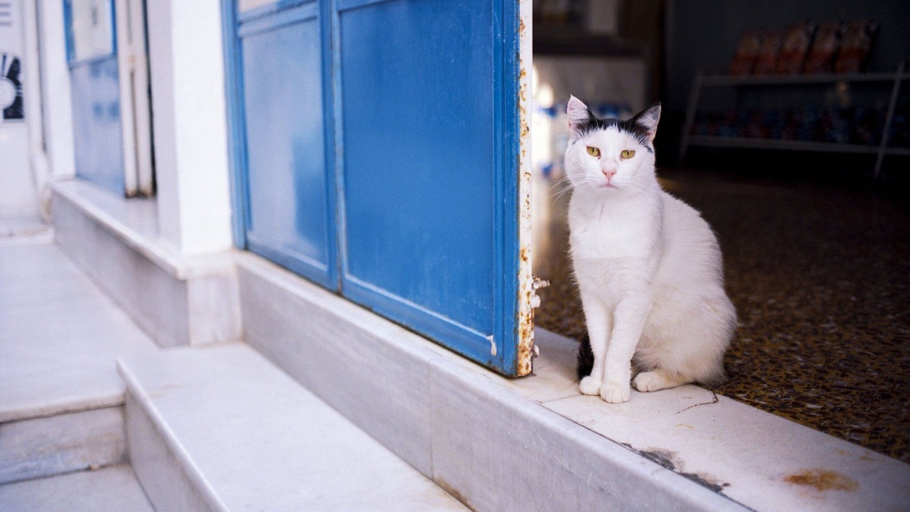 Photo of Others in Naxos Town