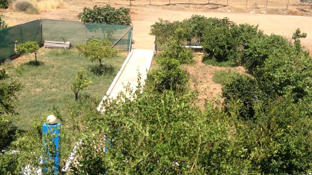 Photo of Outdoor in Pilalimata