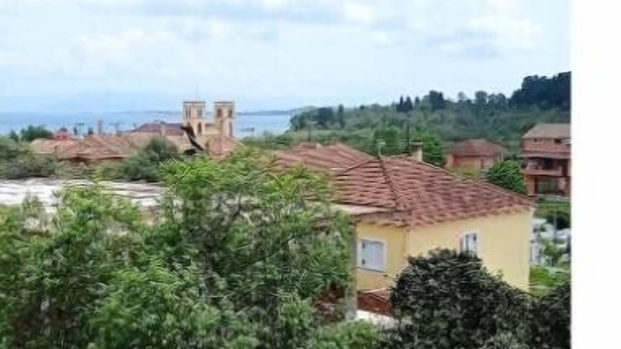 Photo of Others in Petriti
