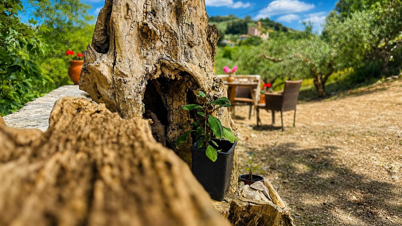 Photo of Outdoor in Panethimos