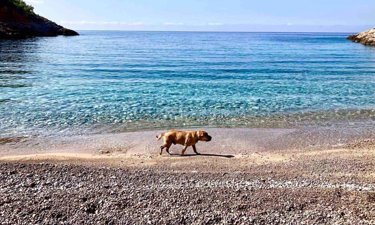 Photo of Others in Chios Town