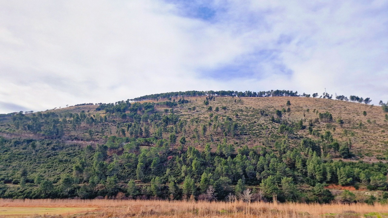 Photo of Outdoor in Berat