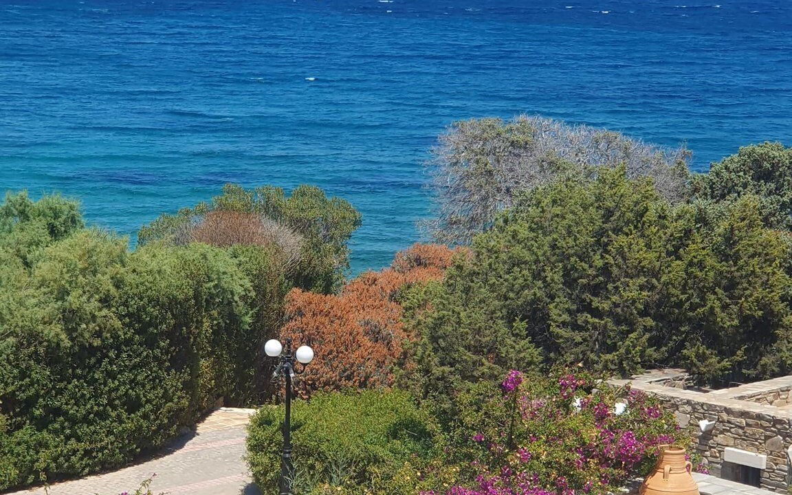 Photo of Others in Antiparos