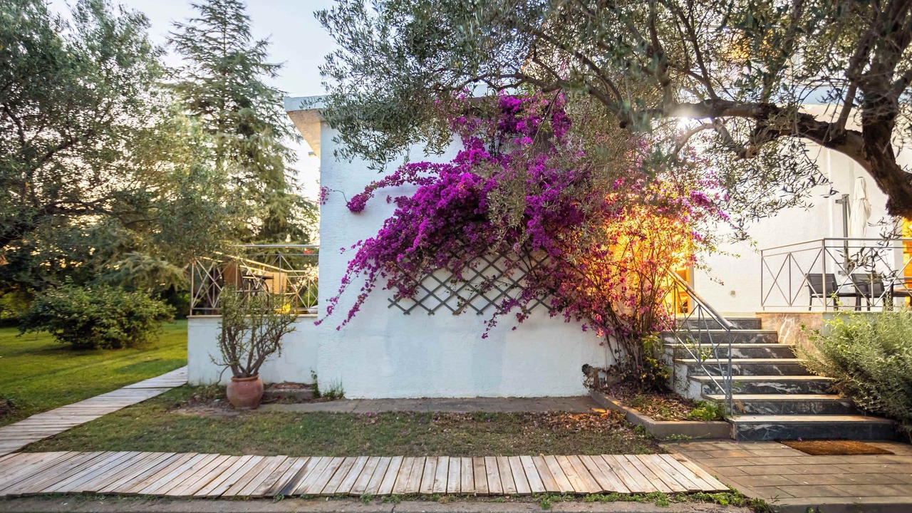 Photo of Outdoor in Myrtea