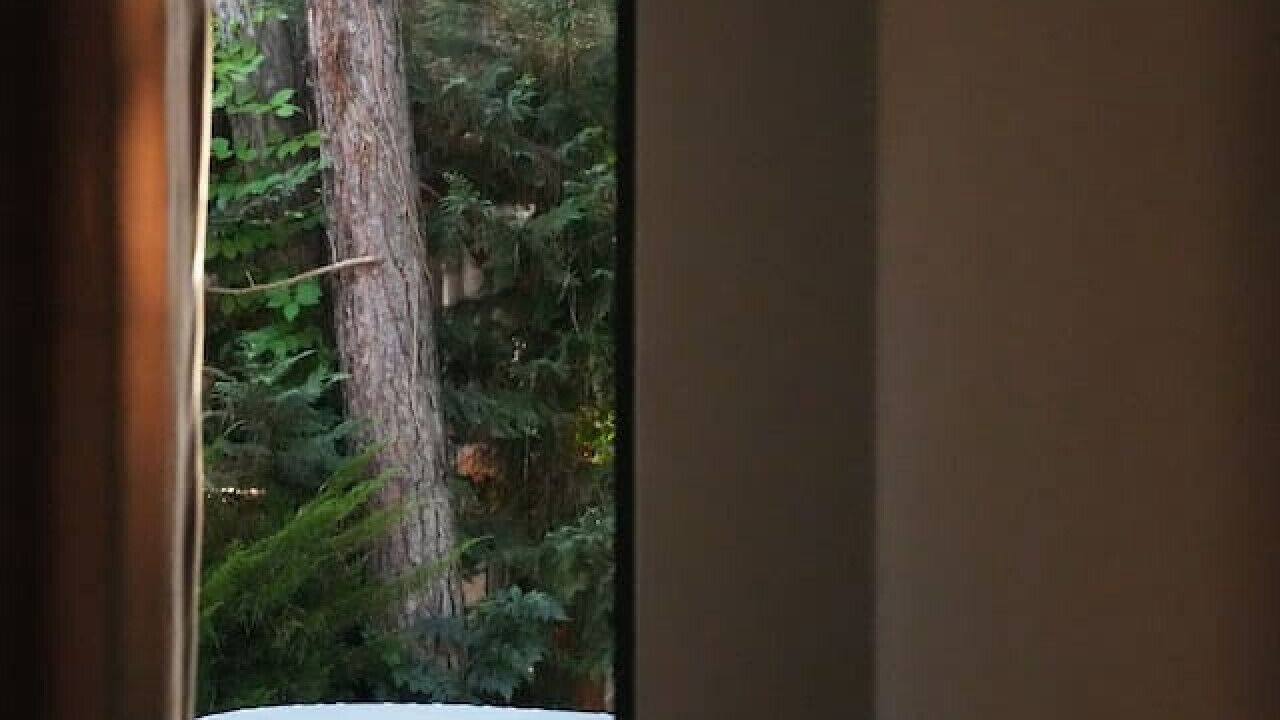Photo of Bedroom in Golem