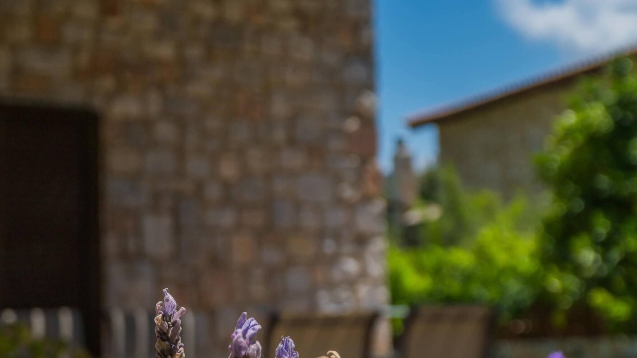 Photo of Outdoor in Agia