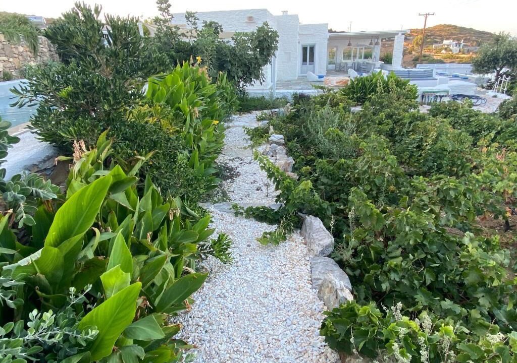 Photo of Outdoor in Paros