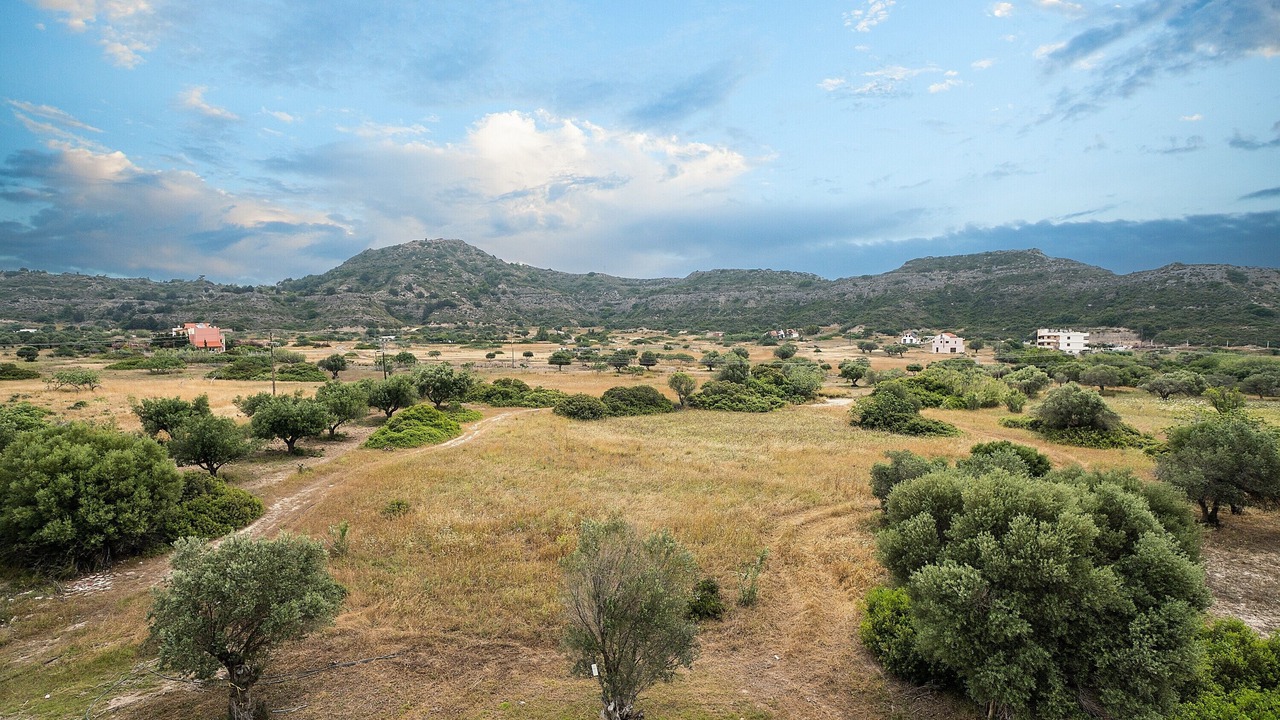 Photo of Others in Faliraki