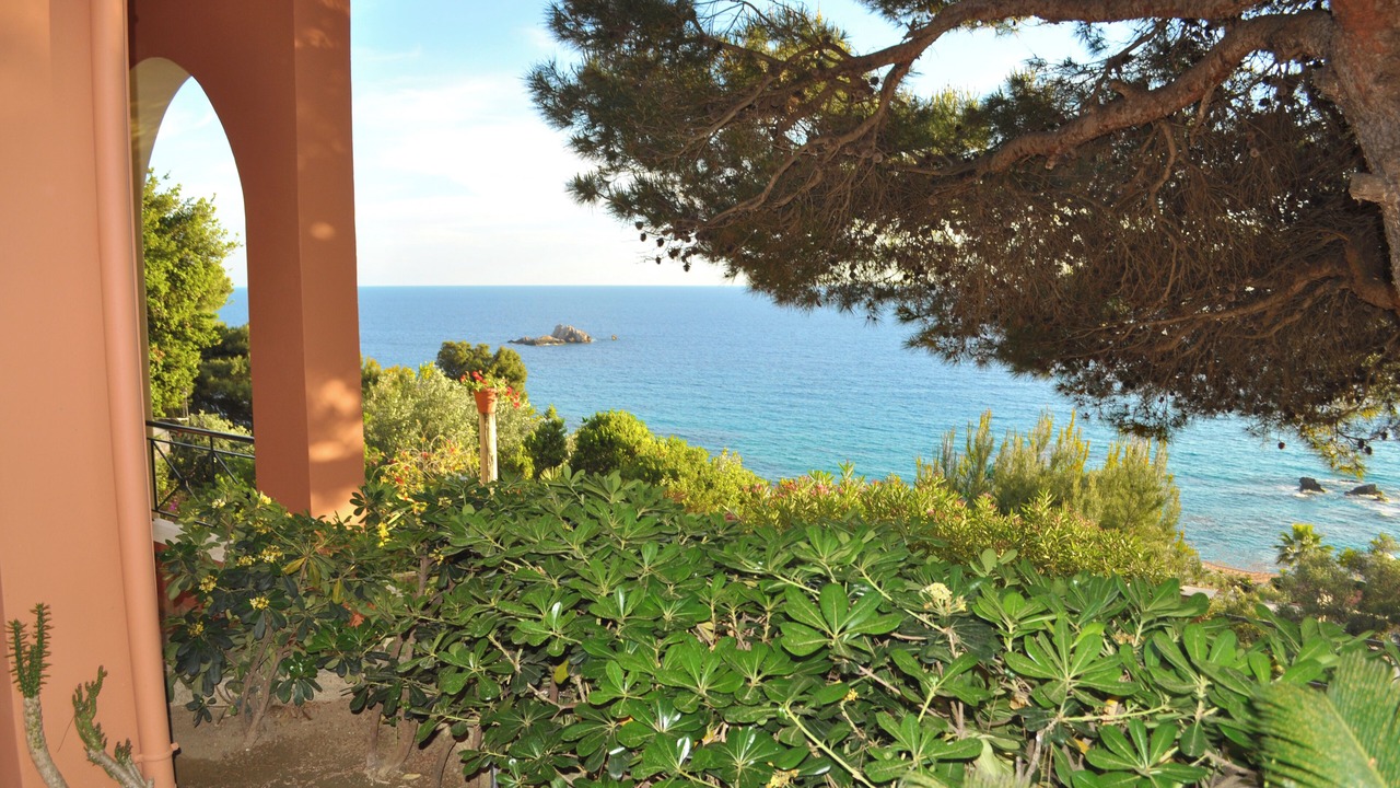Photo of Outdoor in Parelia