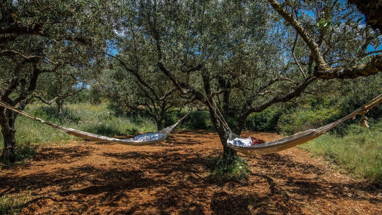 Photo of Others in Agia Marina
