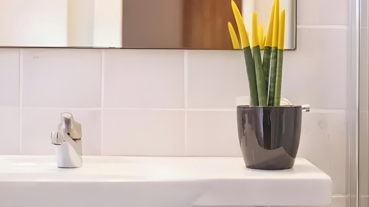 Photo of Bathroom in Tzavros
