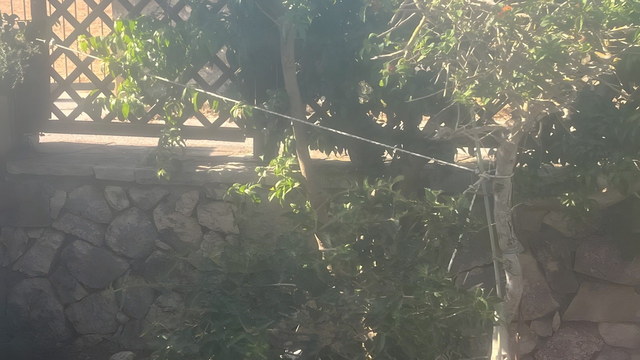 Photo of Outdoor in Mazarakata