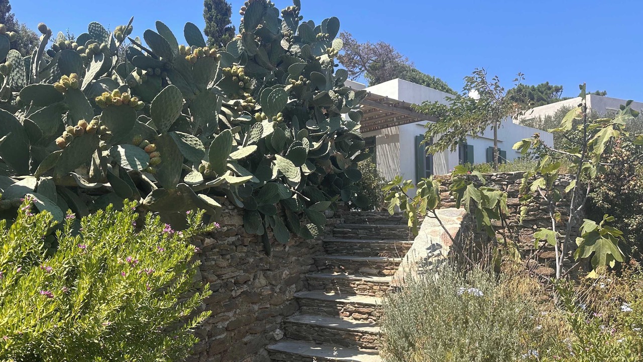 Photo of Outdoor in Apollonia