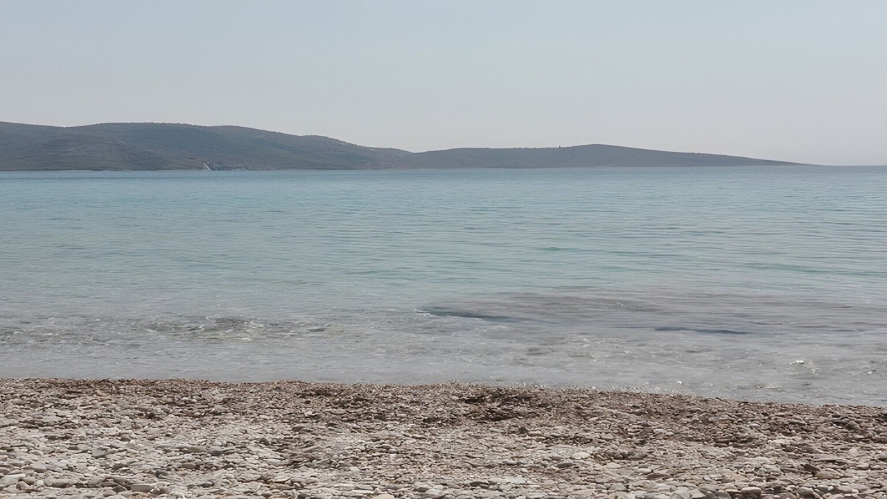 Photo of Others in Salamis