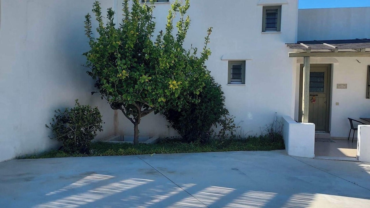 Photo of Others in Naxos
