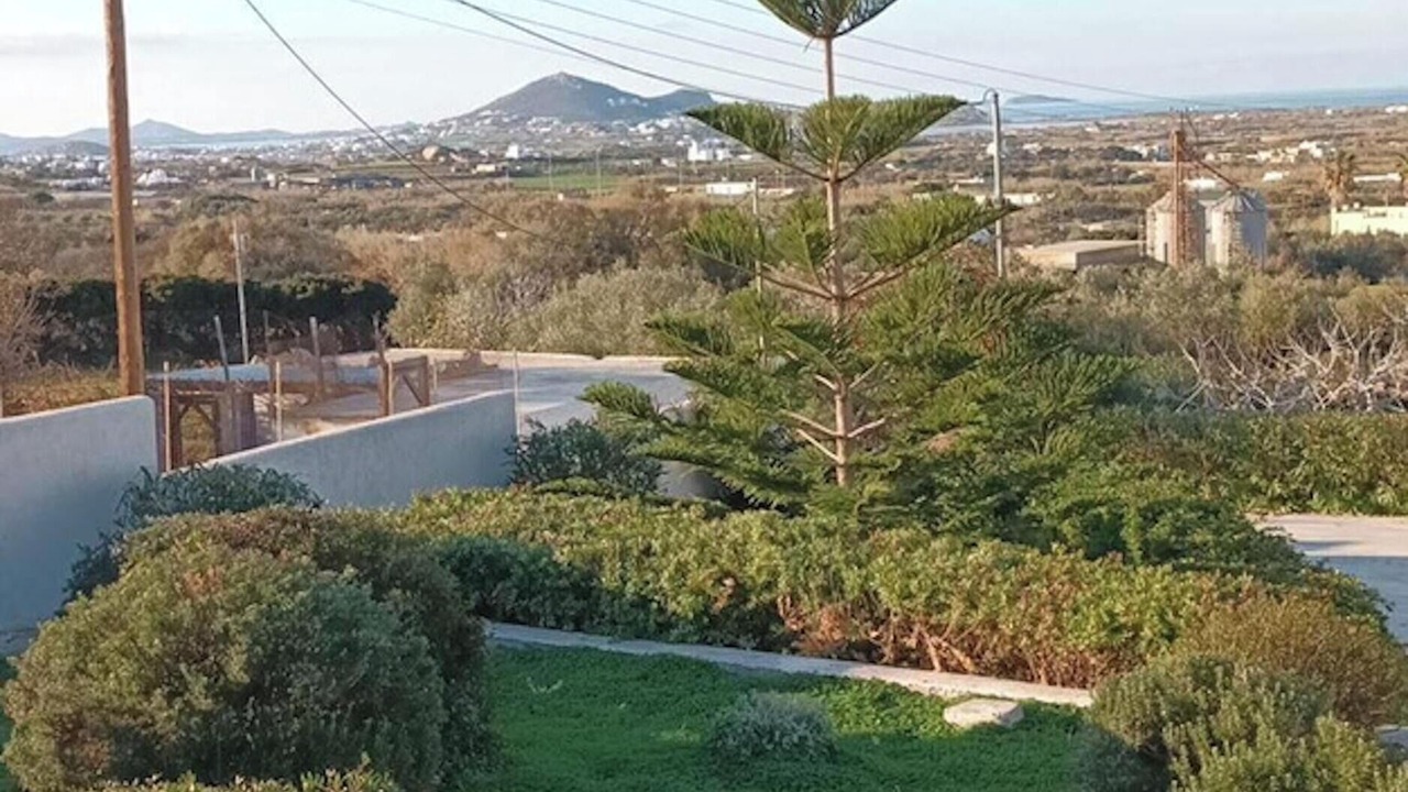 Photo of Others in Naxos