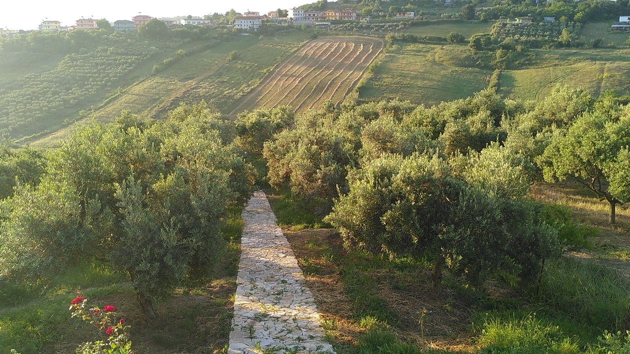 Photo of Others in Kryevidh