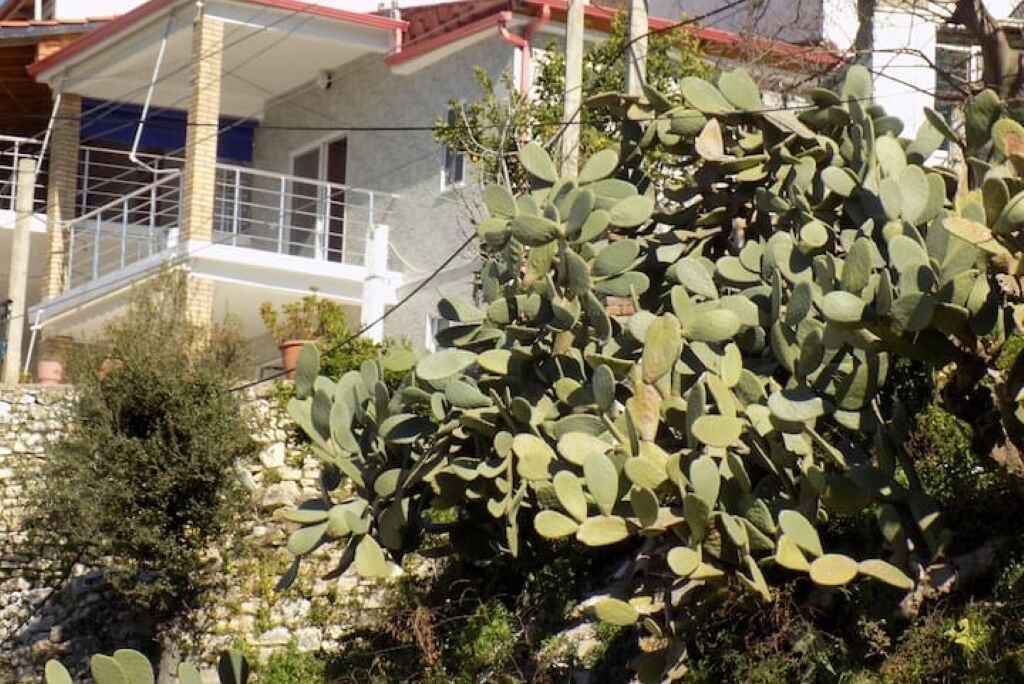 Photo of Outdoor in Himare