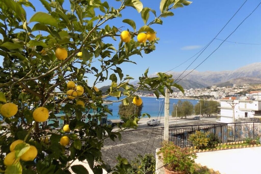 Photo of Others in Himare