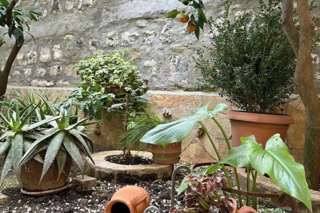 Photo of Outdoor in Berat