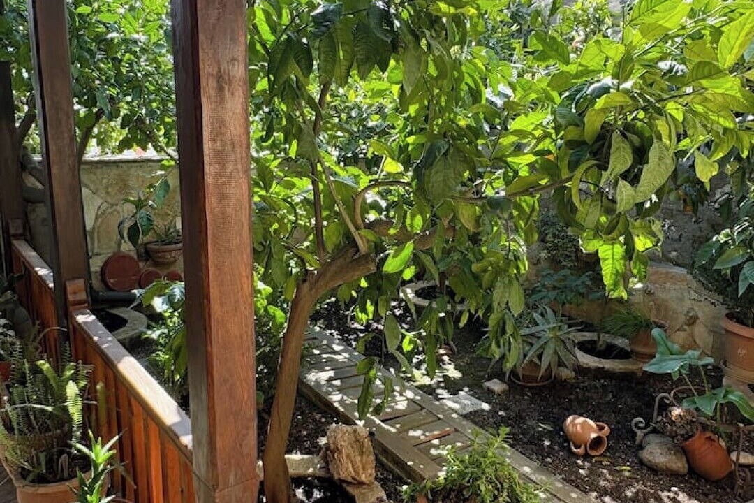 Photo of Outdoor in Berat