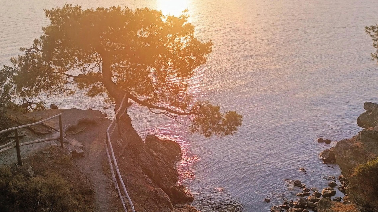 Photo of Others in Sithonia