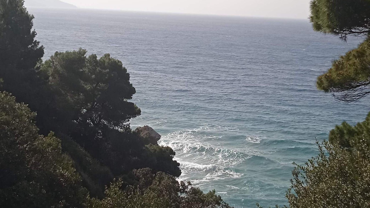 Photo of Others in Glyfada