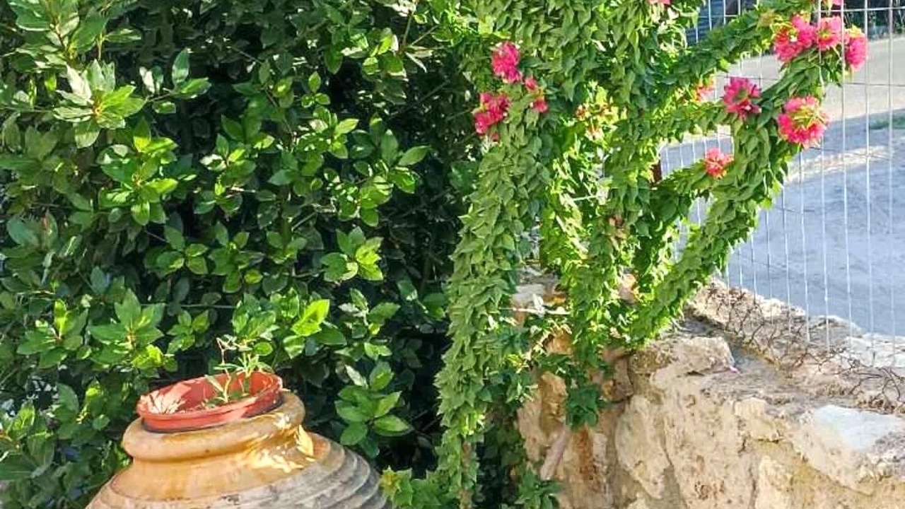 Photo of Outdoor in Vlachiotis