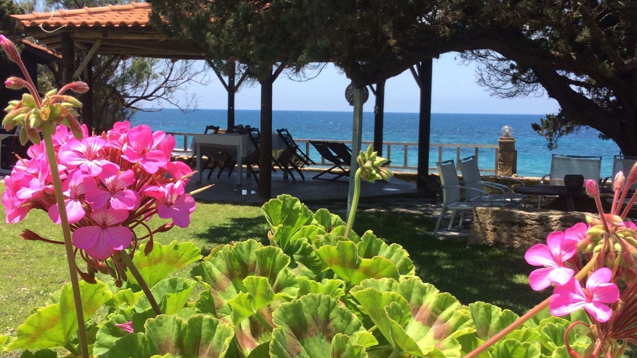 Photo of Outdoor in Pyrgos