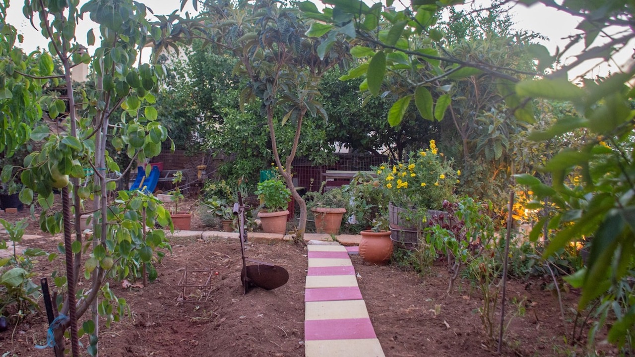 Photo of Outdoor in Kounoupidiana