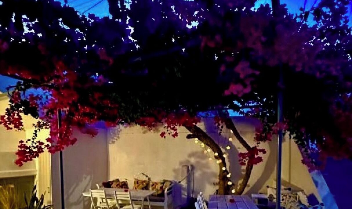 Photo of Outdoor in Messaria