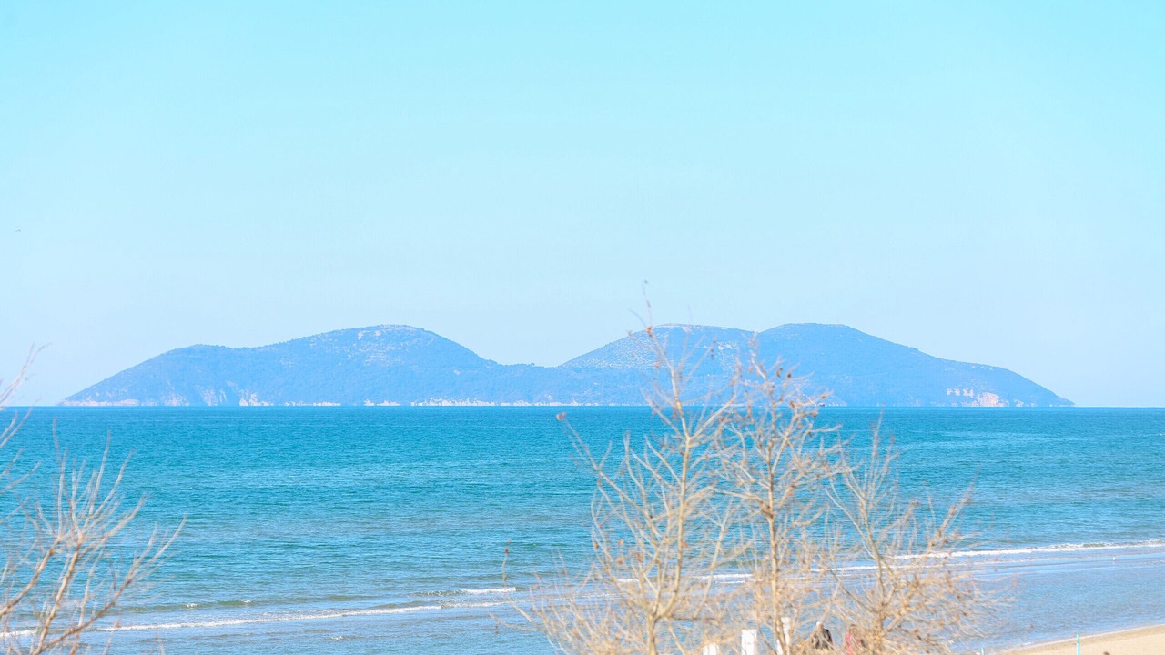 Photo of Others in Vlore