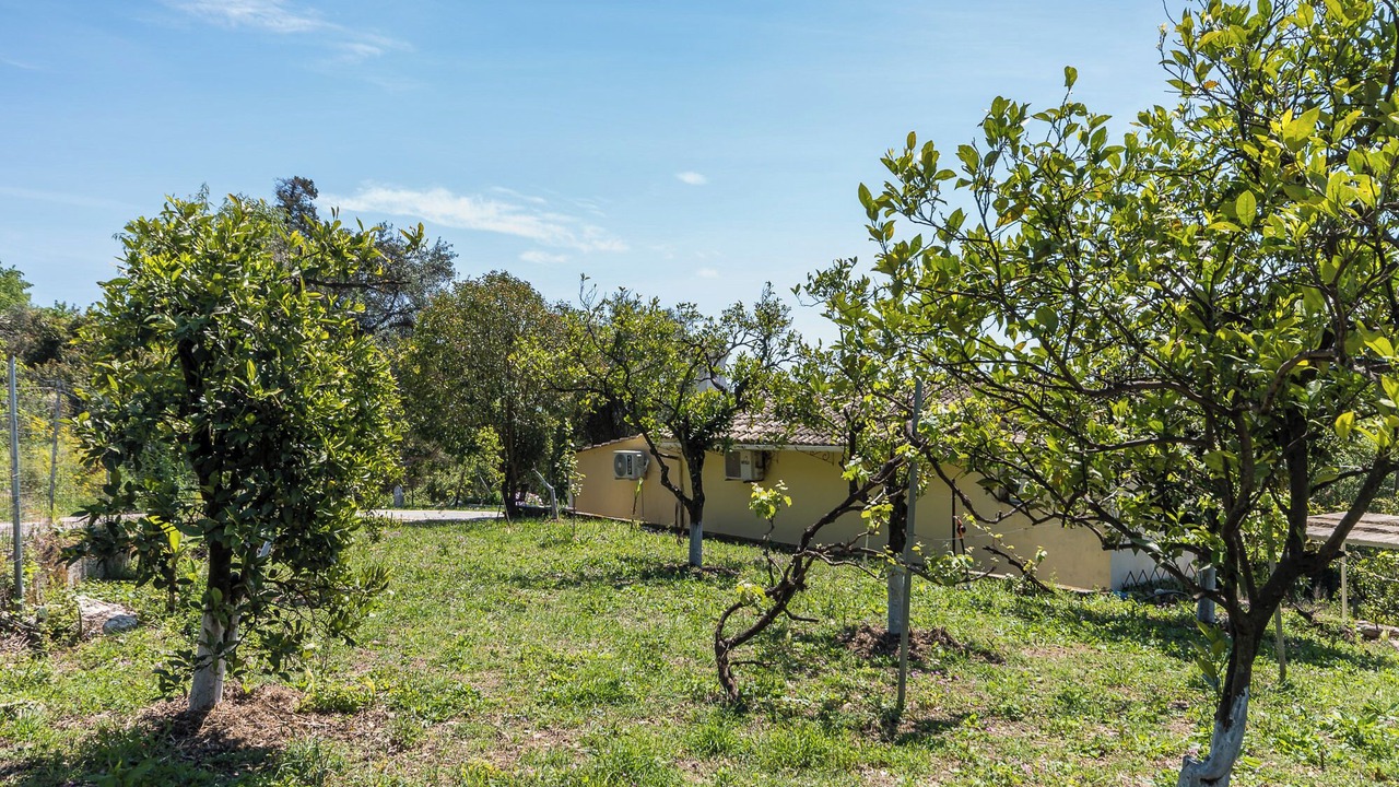 Photo of Outdoor in Ipsos