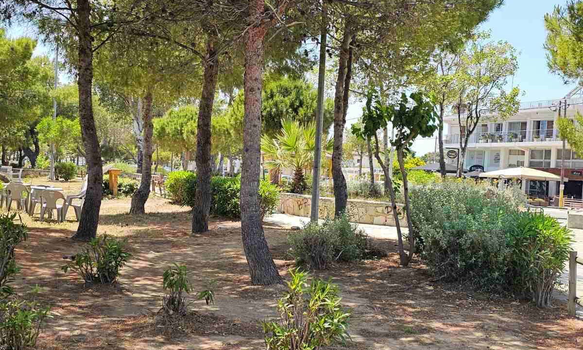 Photo of Outdoor in Spata-Artemida