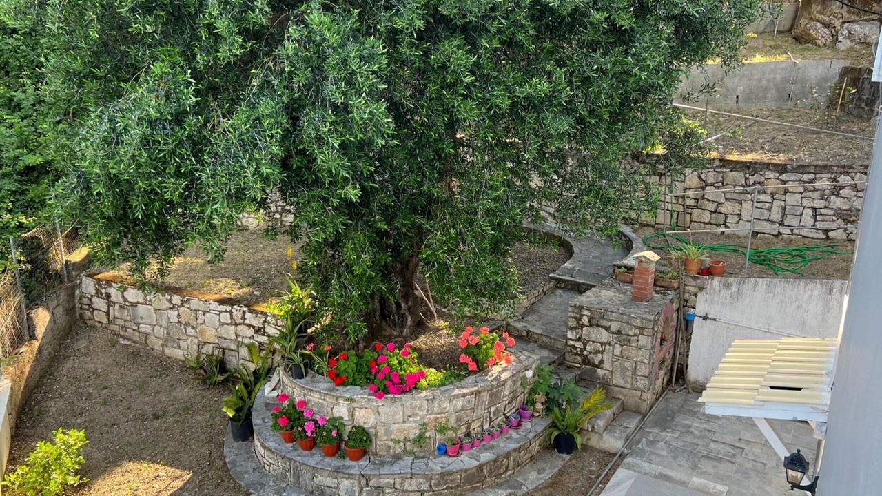 Photo of Outdoor in Dafnata